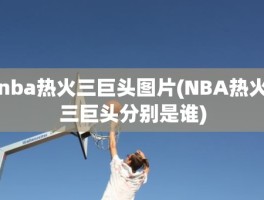 nba热火三巨头图片(NBA热火三巨头分别是谁)