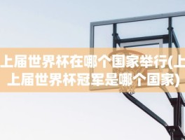 上届世界杯在哪个国家举行(上上届世界杯冠军是哪个国家)