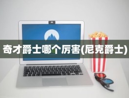 奇才爵士哪个厉害(尼克爵士)