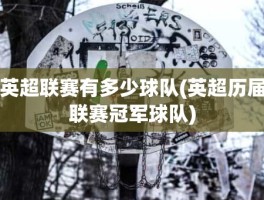 英超联赛有多少球队(英超历届联赛冠军球队)