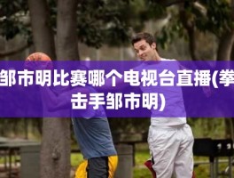 邹市明比赛哪个电视台直播(拳击手邹市明)