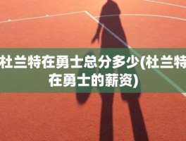 杜兰特在勇士总分多少(杜兰特在勇士的薪资)