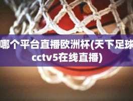 哪个平台直播欧洲杯(天下足球cctv5在线直播)