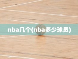 nba几个(nba多少球员)