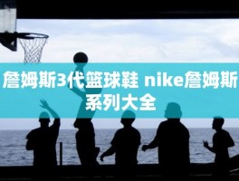 詹姆斯3代篮球鞋 nike詹姆斯系列大全