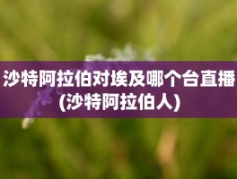 沙特阿拉伯对埃及哪个台直播(沙特阿拉伯人)