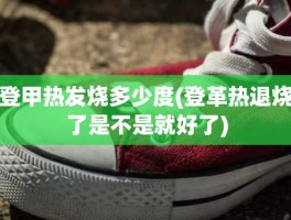 登甲热发烧多少度(登革热退烧了是不是就好了)