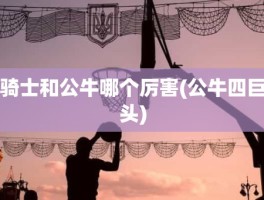 骑士和公牛哪个厉害(公牛四巨头)