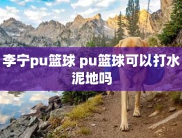 李宁pu篮球 pu篮球可以打水泥地吗