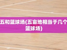 五和篮球场(五亩地相当于几个篮球场)