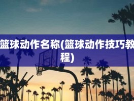 篮球动作名称(篮球动作技巧教程)