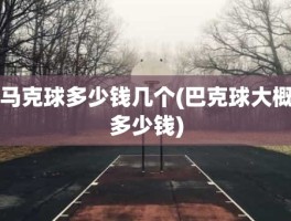 马克球多少钱几个(巴克球大概多少钱)