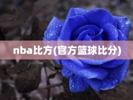 nba比方(官方篮球比分)