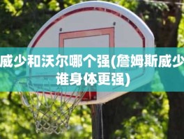 威少和沃尔哪个强(詹姆斯威少谁身体更强)