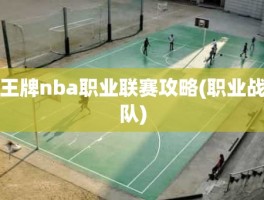 王牌nba职业联赛攻略(职业战队)