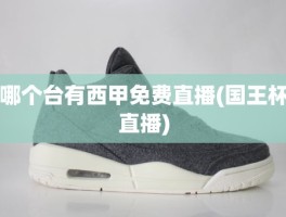 哪个台有西甲免费直播(国王杯直播)