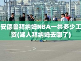 安德鲁拜纳姆NBA一共多少工资(湖人拜纳姆去哪了)