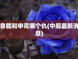 鲁能和申花哪个仇(中超最新消息)