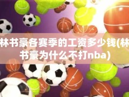 林书豪各赛季的工资多少钱(林书豪为什么不打nba)