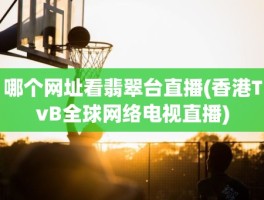 哪个网址看翡翠台直播(香港TvB全球网络电视直播)