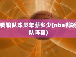 鹈鹕队球员年薪多少(nba鹈鹕队阵容)