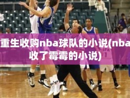 重生收购nba球队的小说(nba收了霉霉的小说)