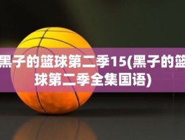 黑子的篮球第二季15(黑子的篮球第二季全集国语)