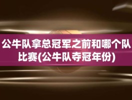 公牛队拿总冠军之前和哪个队比赛(公牛队夺冠年份)