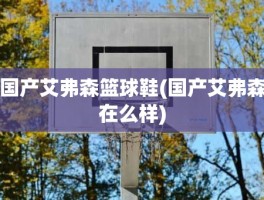 国产艾弗森篮球鞋(国产艾弗森在么样)