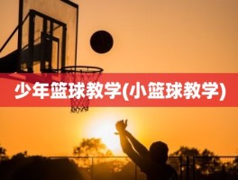 少年篮球教学(小篮球教学)