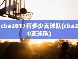 cba2017有多少支球队(cba20支球队)