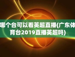 哪个台可以看英超直播(广东体育台2019直播英超吗)