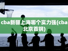 cba新疆上海哪个实力强(cba北京首钢)