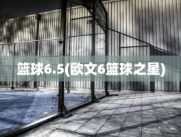 篮球6.5(欧文6篮球之星)