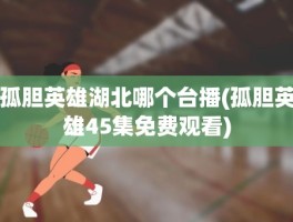 孤胆英雄湖北哪个台播(孤胆英雄45集免费观看)