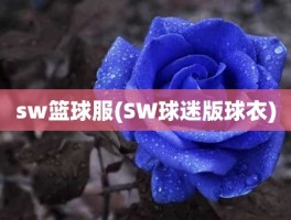 sw篮球服(SW球迷版球衣)