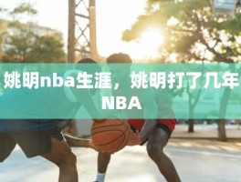 姚明nba生涯，姚明打了几年NBA