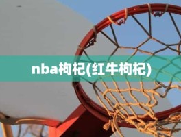 nba枸杞(红牛枸杞)