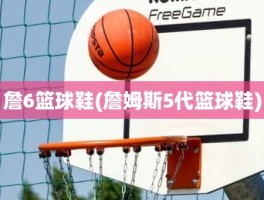詹6篮球鞋(詹姆斯5代篮球鞋)