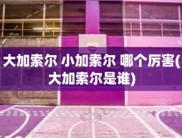 大加索尔 小加索尔 哪个厉害(大加索尔是谁)