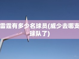 雷霆有多少名球员(威少去哪支球队了)