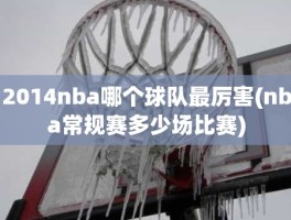 2014nba哪个球队最厉害(nba常规赛多少场比赛)