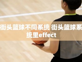 街头篮球不同系统 街头篮球系统里effect