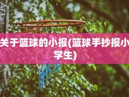 关于篮球的小报(篮球手抄报小学生)