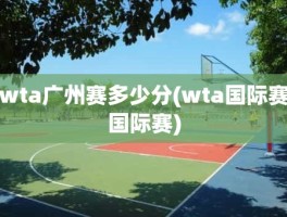 wta广州赛多少分(wta国际赛国际赛)