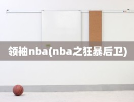 领袖nba(nba之狂暴后卫)