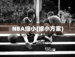 NBA缩小(缩小方案)