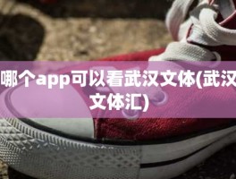 哪个app可以看武汉文体(武汉文体汇)