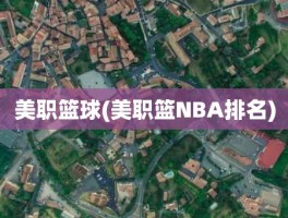 美职篮球(美职篮NBA排名)