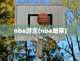nba游走(nba地带)
